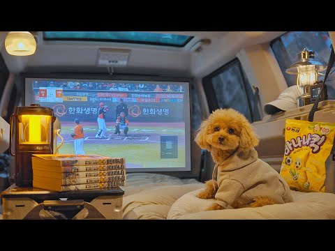 2-Room Luxury Car Camping with My Dog . Korean Spicy Sujebi . Wood Stove ASMR