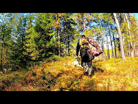 РЫБАК ЗАШЁЛ В ЛЕС НАШЁЛ ОЗЕРО И ОБАЛДЕЛ! РЫБАЛКА В КОНЦЕ МАЯ 2025. РЫБУ ПОЙМАЛ И ПРИГОТОВИЛ.