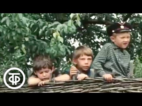 Мелодии, прожившие века. Фильм о творчестве Ансамбля народной музыки под упр. Д. Покровского (1981)