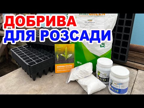 Why feed seedlings? IN SIMPLE WORDS