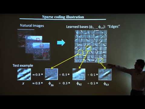 Andrew Ng: "Deep Learning, Self-Taught Learning and Unsupervised Feature Learning"