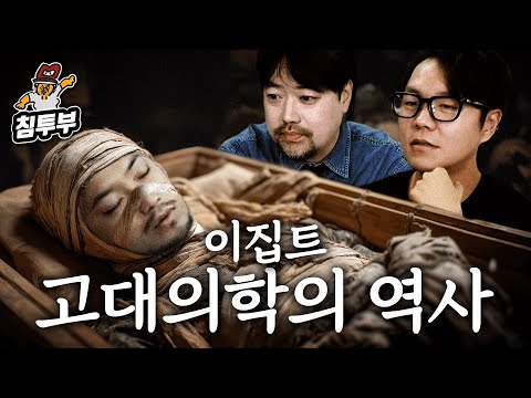 이집트 의사들은 고슴도치로 탈모를 고쳤다?