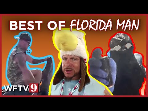 Alligator fights, stolen police cars: everything Florida Man did in 2025