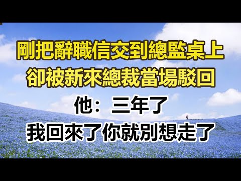 剛把辭職信交到總監桌上，卻被新來總裁當場駁回，他：三年了，我回來了你就別想走了#幸福敲門 #為人處世 #生活經驗 #情感故事