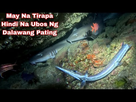 Episode 640 dive 2 May Na Tirapa Hindi Na Ubos Ng Dalawang Pating night spearfishing Philippines 