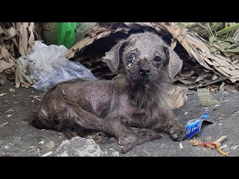 Why do you waste time on me?" She cried and fell asleep after feeling kindness for the first time