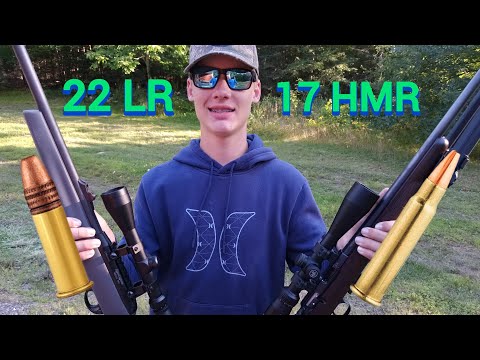 22 LR vs. 17 HMR Which is better?