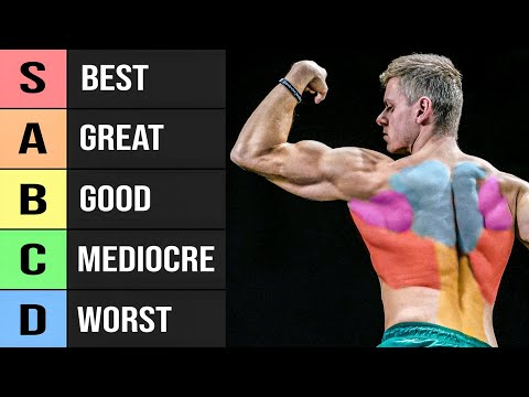 22 Back Exercises Ranked (Worst to Best!)
