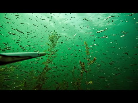 Отличный день на карьере