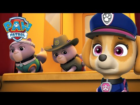 Ultimate Rescue Pups save the Royal Kitty Cats! - PAW Patrol Episode - Cartoons for Kids Compilation
