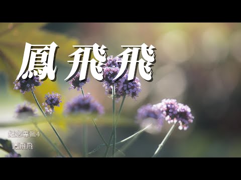 (鳳飛飛)紀念專集. VOL 4✌️謝謝😇😇😇😇😇😇👀👀👀