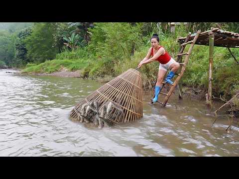 How To Make & Set Fish Traps - Harvest Lots Of Fresh Fish For Sale | Tiểu Dao