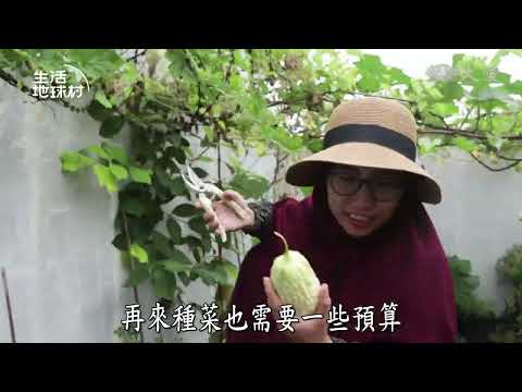 【生活地球村】 自耕自食 安然自在 20251116