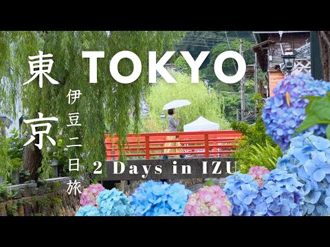 Day Trip from Tokyo｜Exploring Izu｜Japan countryside |   No.1 Hydrangeas |  Japan Travel Vlog