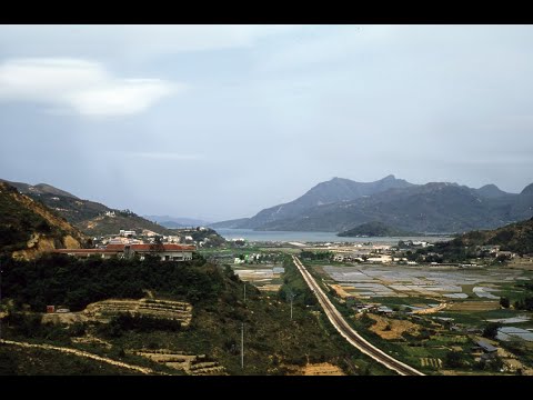 香港沙田 Shatin, Hong Kong (1950-1970)