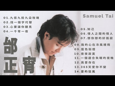 邰正宵 Samuel Tai 金曲串燒【經典歌曲】【高音質】【精選14首 | 自選歌曲】歌單 Music Playlist