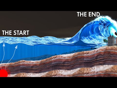 The CRUEL Physics behind Tsunamis!