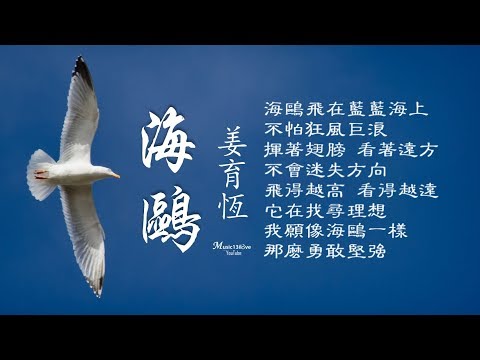 姜育恆《海鷗》願像海鷗一樣勇敢堅強...♥ ♪♫*•
