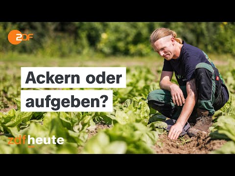 Doku: Das harte Geschäft mit der familiären Landwirtschaft