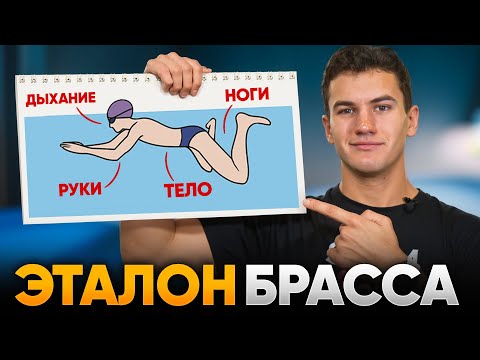 ЭТАЛОН плавания брассом. Вся техника пошагово + упражнения в брассе