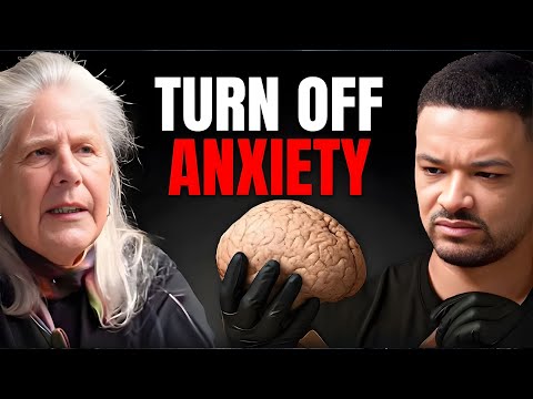 The "4 Characters" In Your Brain Controlling Your Life | Dr. Jill Bolte Taylor x Steven Bartlett