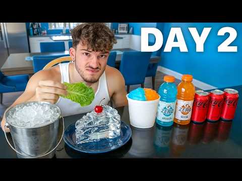 I Ate Only "0 Calorie" Foods For 50 Hours