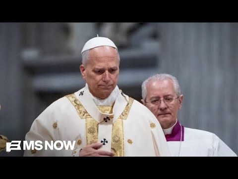 “Wars of choice…are immoral”: Priest unpacks Pope Leo’s condemnation of Trump’s war with Iran