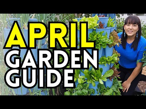 Everything You Can Start From Seed Or Plant NOW - April Gardening Tips & Ideas