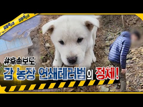 [실화Pick] 완주 감 농장 연쇄 테러범의 정체! -후속보도- #실화탐사대 #실화On MBC240111방송