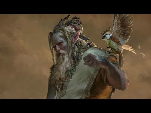 What They Don't Tell You About Firbolgs - D&D