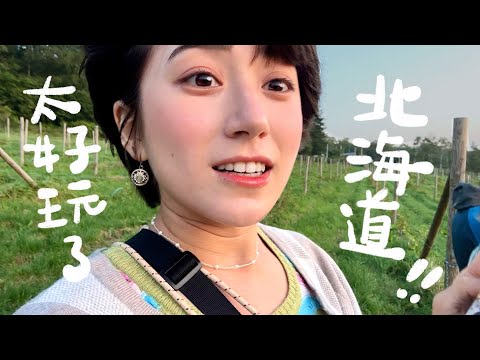 日本我來了！秋天の北海道（一）在葡萄園看超美夕陽！定山溪划SUP！在町村農場吃超美味的牛奶冰淇淋✨ | 金魚腦Goldfish Brain