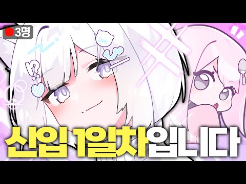 '방송 치트키 알려드림ㅋㅋ' 3일간 부캐로 시청자 수 내기하는 컨텐츠