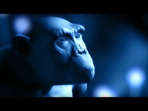 Explaining the Tree of Life | BBC Earth