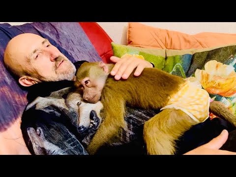 ТАК МИЛО! Всех убрали от Влада и Люська сразу стала СОВСЕМ ДРУГОЙ!