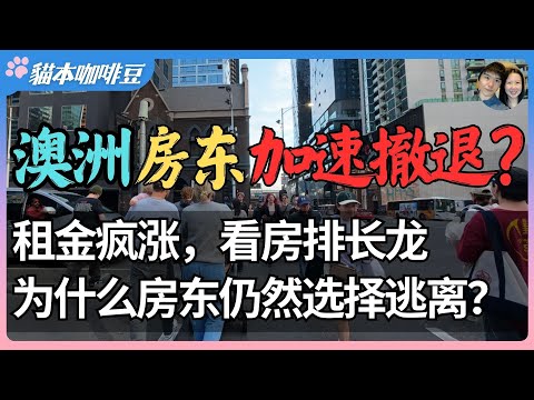 2025年澳洲房东加速撤离租赁市场？租金暴涨超过15%，房东却说撑不住了 | 房东和租客都在喊苦，究竟谁才是最大输家？| 澳洲与新西兰移民生活深度分享 | 猫本咖啡豆