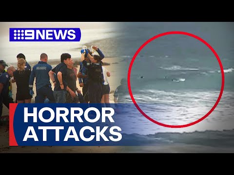 Multiple shark attacks across NSW in 48 hours | 9 News Australia