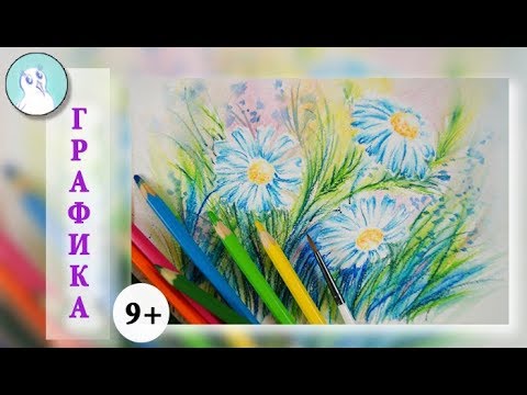 АКВАРЕЛЬНЫЕ КАРАНДАШИ. Как нарисовать ЦВЕТЫ РОМАШКИ. Подробный мастер-класс для новичков.