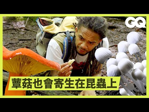 How This Mushroom Savant Identifies Fungi｜GQ Taiwan