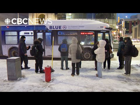 Fewer people riding Winnipeg Transit as ridership dropped last fall