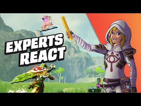 Zelda BOTW Pro Speedrunner and Combat Expert React to New Viral Clips