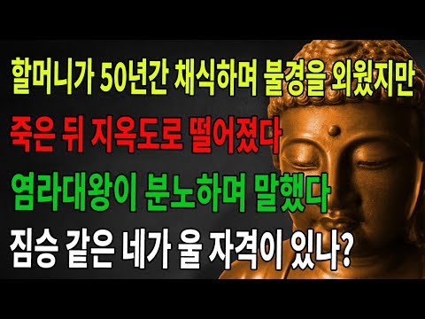 노태가 50년 동안 채식하며 염불했으나, 죽은 뒤 지옥도에 떨어졌습니다. 염라대왕이 노하여 말했습니다. “이놈, 울 얼굴이 있느냐!” |불광심경|부처님|불학|불교|선수|불법지혜