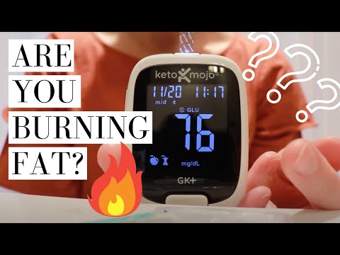 How to Test Glucose and Ketones With the Keto Mojo Device
