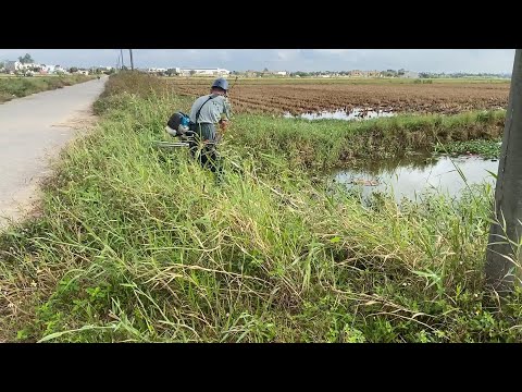 I was surprised when they saw me mowing the grass and picking up vegetation causing drains clog
