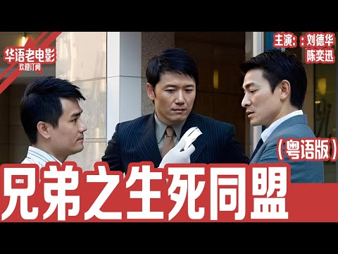 《兄弟之生死同盟》粤语版:刘德华×陈奕迅×苗侨伟|黑帮老大身亡引发权力争斗,兄弟重逢卷入连环杀局!命运卦象应验,背叛与血战一触即发!! | 国产经典老电影 HD 国语彩色故事片 #华语老电影📽
