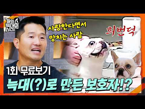 🔴 [#개와늑대의시간 1회 최초공개] 당신의 반려견은 개🐶일까, 늑대🐺일까? 개는 물론 반려인을 위한 맞춤형 솔루션까지 제공하는견생X인생 개선 프로젝트!
