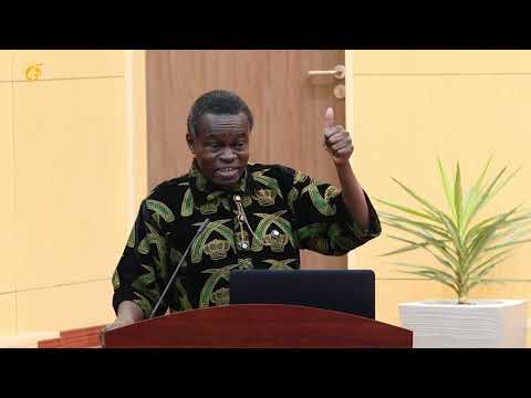 Africa in the next 25 years will be recolonized - Prof. PLO Lumumba