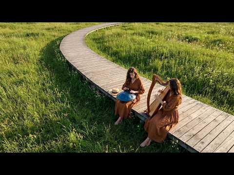 🌲Spring Healing Music | Handpan & Harp on the Yosemite Boardwalk (1-Hour Nature Path)