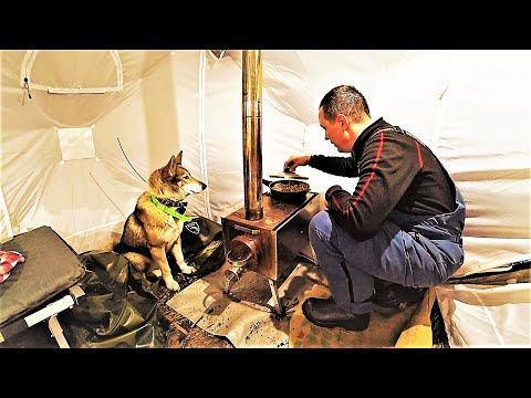 Вывожу металл!  Вокруг тайга, болота! Полные сани металлолома! Раскопал палатку, Всё восстановлено..