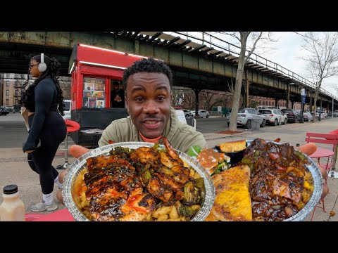 Best Jamaican Oxtail and Jerk Salmon in NYC? | Jamaican Street Food | TST eBike