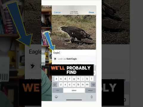 Add captions to your iPhone photos